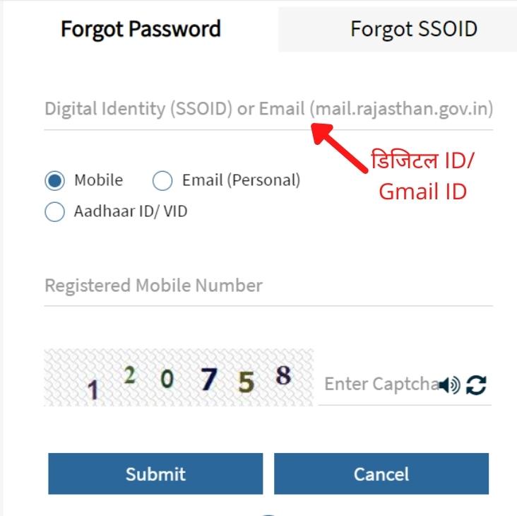 How to recover SSO Password